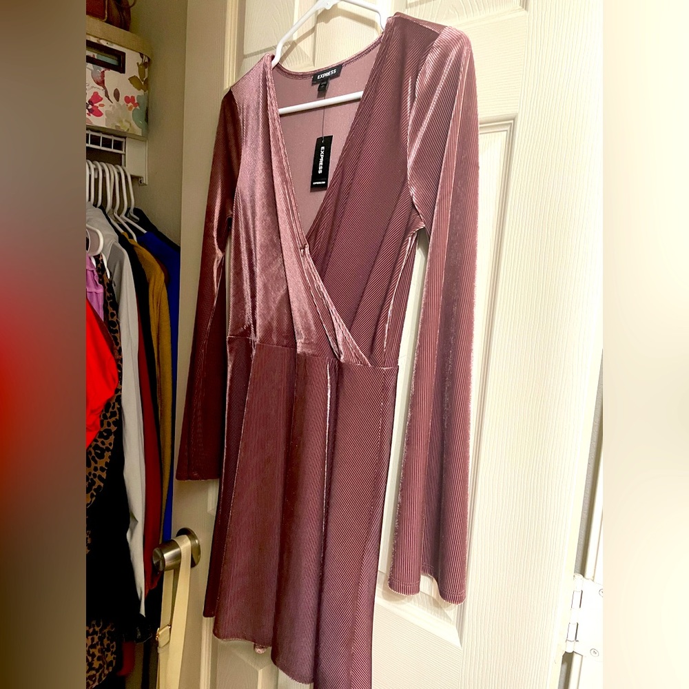 Express velvet rose blush dress